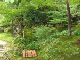 Japan015