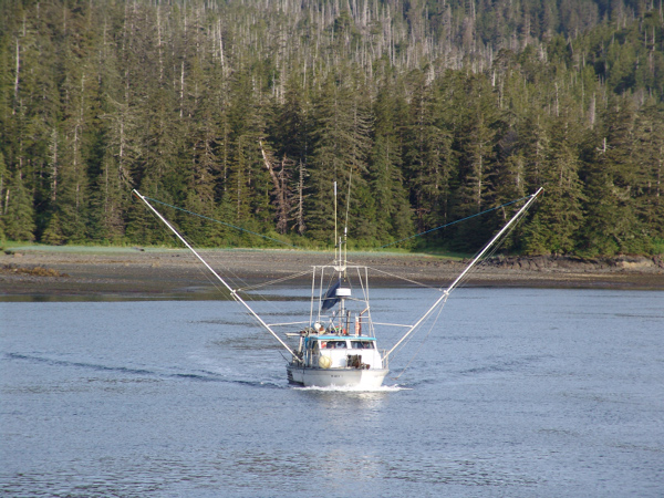 Sitka01