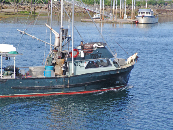 Sitka13