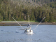 Sitka01