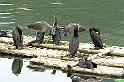 Guilin30