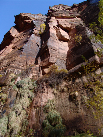 Zion (15)