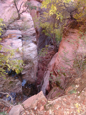 Zion (24)