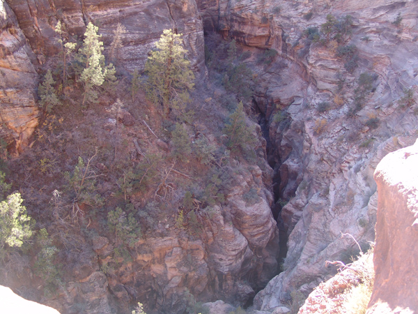 Zion (25)