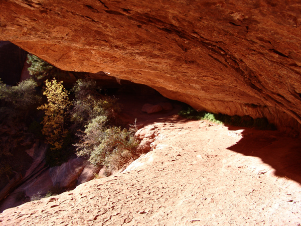 Zion (26)