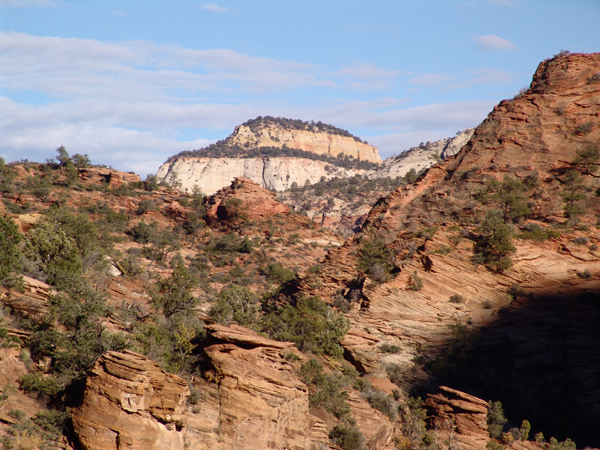 Zion (30)