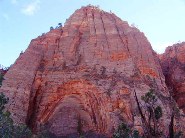 Zion (31)