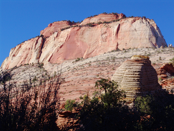 Zion (32)