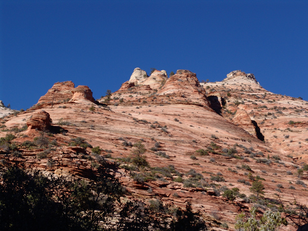 Zion (33)