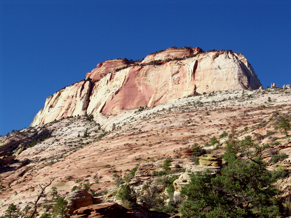 Zion (35)