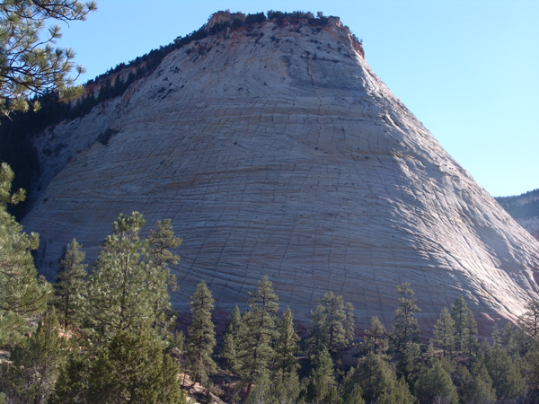 Zion (36)