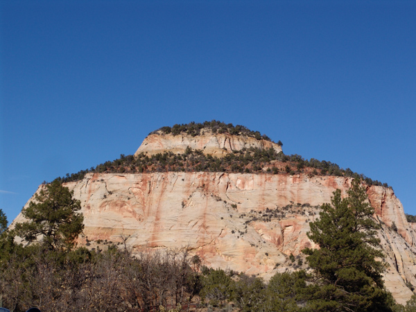 Zion (37)