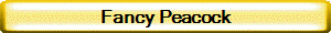Fancy Peacock