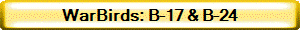 WarBirds: B-17 & B-24